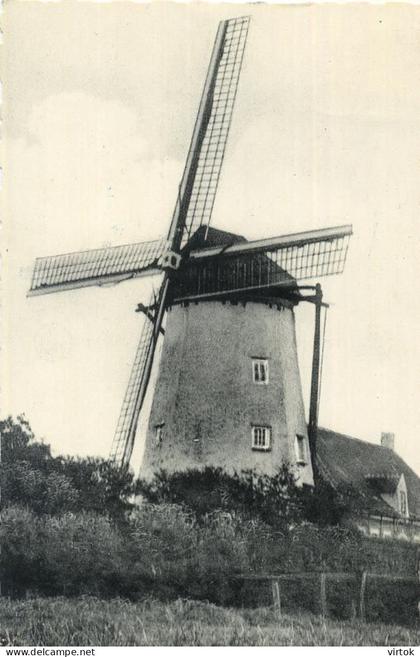 Sint-Niklaas-Waas  :     windmolen  ( met zegel )