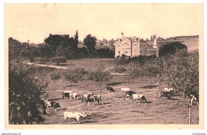 CPSM- Carte Postale -Belgique-Lincé Sprimont Château de Xhignez 1962   VM40030