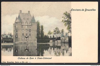 AK Steenokkerzeel, Chateau de Ham