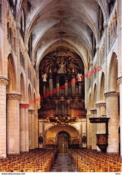 Basiliek - Tongeren