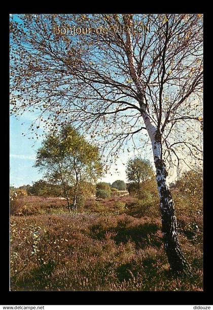 Belgique - Virton - Bonjour de Virton - Carte Neuve - CPM - Voir Scans Recto-Verso