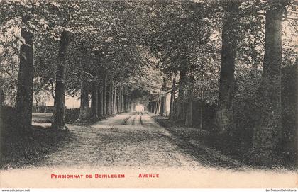 BELGIQUE - Zwalm - Pensionnat De Beirlegem - Avenue - Carte postale ancienne