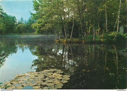 Belgium Zutendaal