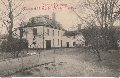 CE4 - BEYNE HEUSAY ( BELGIQUE ) -  VIEUX CHATEAU DU DIRECTEUR DELSEMME  -   2 SCANS