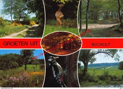 Groeten - Bocholt