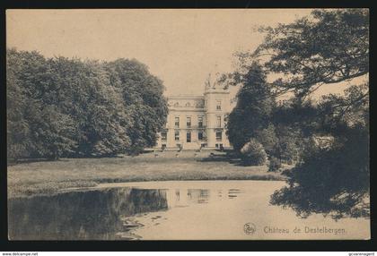 DESTELBERGEN  CHATEAU DE DESTELBERGEN