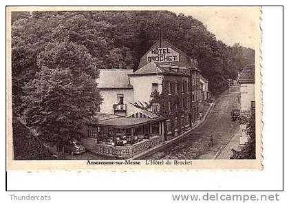 ANSEREMME SUR MEUSE HOTEL DU BROCHET POISSONS AU BROCHET