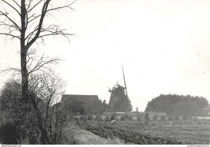 BELGIQUE - Donceel - Le moulin - Carte Postale