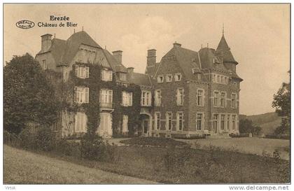 Erezée : Chateau de Blier  ( ecrit 1928 avec timbre )