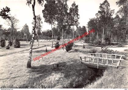 Het arboretum - Domein Bokrijk - Genk