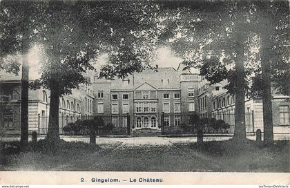 BELGIQUE - Gingelom - Le château - porte - entrée - allée - rue - jardin - grille - aout 1910 - Carte postale ancienne