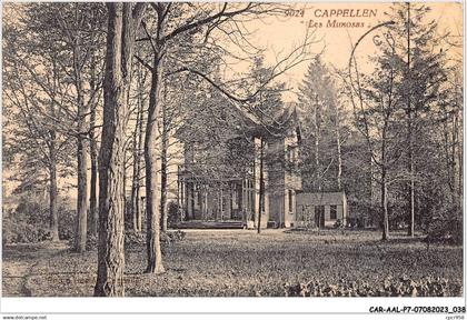 CAR-AALP7-BELGIQUE-0590 - CAPPELLEN-Les Mimosas