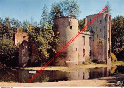 Ruine van het Prinsenkasteel - Grimbergen