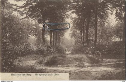 Heist op den Berg : hoogbergbosch ( zuid )   1913 met zegel