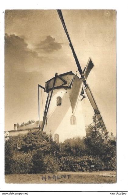 Herent - De Molen - Moulin.