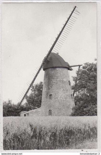 Sint-Kornelis-Horebeke. Hoogkoutermolen. *