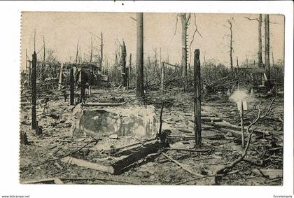 CPA-Carte Postale Belgique-Houthulst- Ruines aspect du bois de Houthulst-14-18VM21755dg