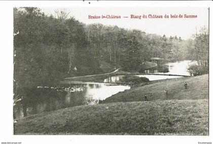 CPA Carte Postale-Belgique-Braine le Château Etang du Château du Bois de Samme -VM25102m