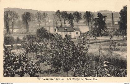 WAUTIER-BRAINE - les étangs de Noucelles.