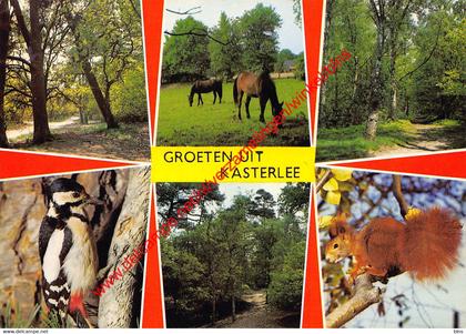 Groeten uit … - Kasterlee