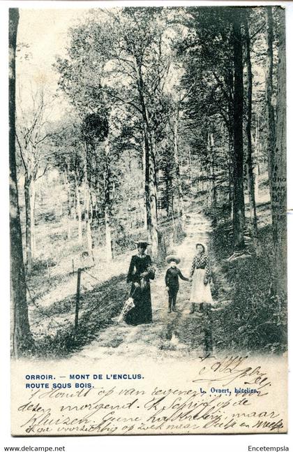 CPA - Carte Postale - Belgique - Orroir - Mont de l'Enclus - Route sous Bois - 1905 (BR14408)