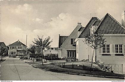 BELGIQUE - Crainhem - Avenue des Hortensias - Kraainem - Hortensiaslaan - Carte Postale Ancienne