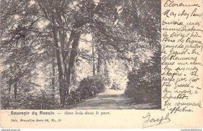 CPA Le Roeulx - Souvenir du Roeulx - Sous bois dans le parc