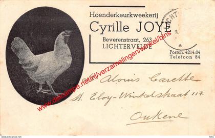 Hoenderkeurkweekerij Cyrille Joye - Beverenstraat - Lichtervelde