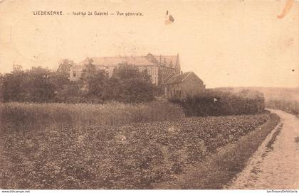 BELGIQUE - Liedekerke - Institut St Gabriel - Vue générale - Campagne - Plantations - Carte Postale Ancienne