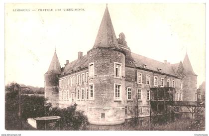 CPA - Carte Postale - Belgique- Limbourg- Château des Vieux Joncs  VM40160