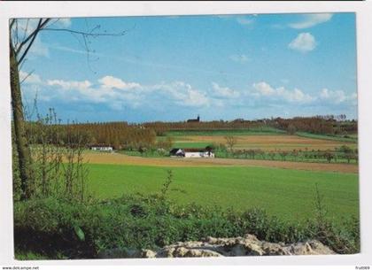 AK 022167 BELGIUM - Vlaamse Ardennen - Landschap I - De Sponde Nukerke