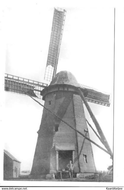 Meerhout-Zittaart - Molen.