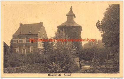 Kasteel - Binderveld