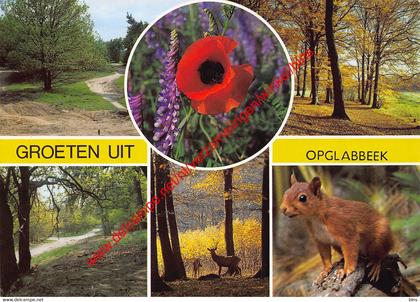 Groeten uit … - Opglabbeek