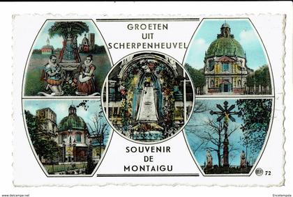 CPA - Cartes postales -BELGIQUE Scherpenheuvel-Zichem- Souvenir-1960- -S3878