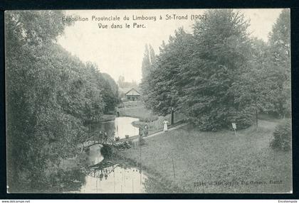 CPA - Carte Postale - Belgique - Exposition Provinciale du Limbourg à St Trond - Vue dans le Parc - 1907 (CP21601)