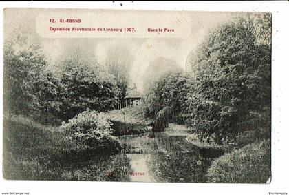 CPA-Carte Postale-Belgique- Saint Trond-Exposition Provinciale du Limbourg dans le Parc 1907-VM13317