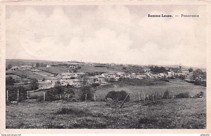 SOMME LEUZE - panorama