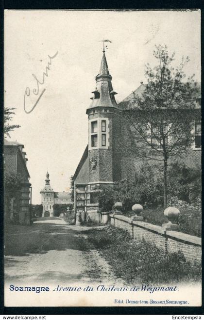 CPA - Carte Postale - Belgique - Soumagne - Avenue du Château de Wegunont (CP23530OK)