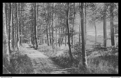 * RHODE ST GENESE - ST GENESIUS RODE - Grande Espinette - Café Restaurant de la Belle Alliance - Avenue Francus - 1911