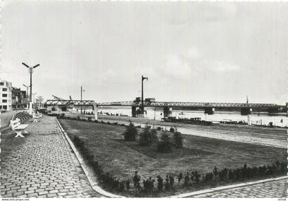 Temse :  scheldebrug      ( groot formaat 15 x 10.5 cm )