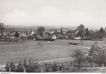 Belgique - Tintigny - Panorama - Edition Jeanty n° 1