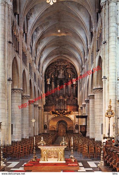 Basiliek - Tongeren