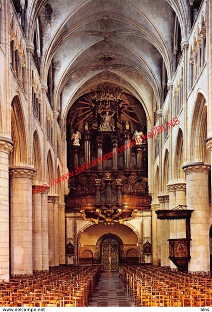 Basiliek - Tongeren