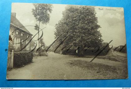 Baal -Tremelo Zandstraat  kapel met lindenboom