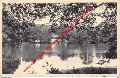 Etang du Neupont - Wellin