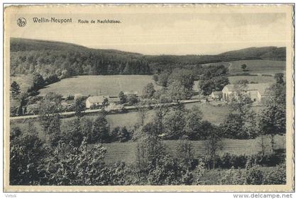 Wellin-Neupont  :  Route de Neufchateau   (  ecrit )