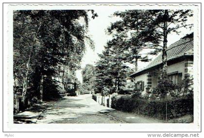 Wemmel. Torentjeslaan.  Avenue des Tourelles.