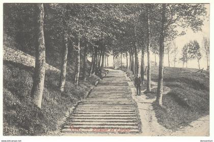 Visé. - Escalier de Lorette. - [les escaliers vers le cimetière carte postale ancienne Wézet postkaart]