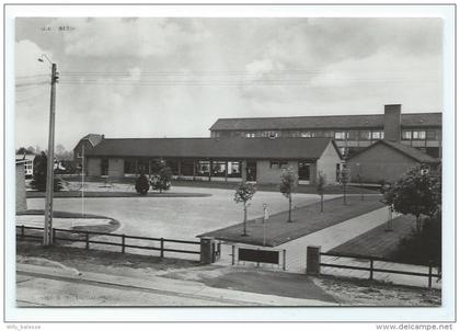 Carte Postale - ZONHOVEN - Rijkslagere en middelbare Scholen - CPA  //